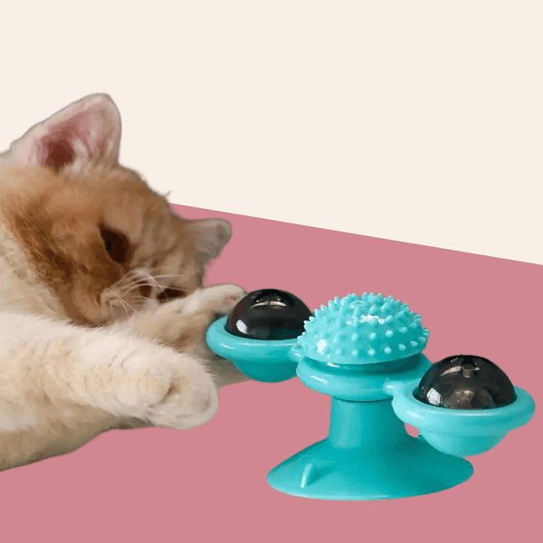 Catnip Windmill Cat Toy