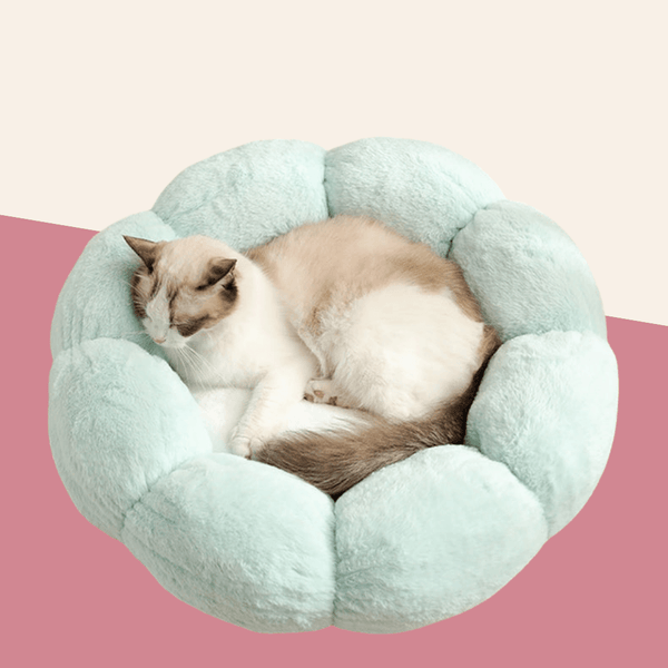 Flower Shaped Cat Bed
