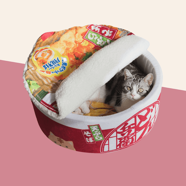 Instant Noodles and Plush Cat's Nest
