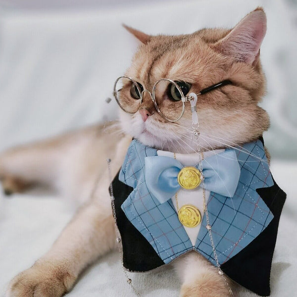 Cat British Academy Style Bib Tie