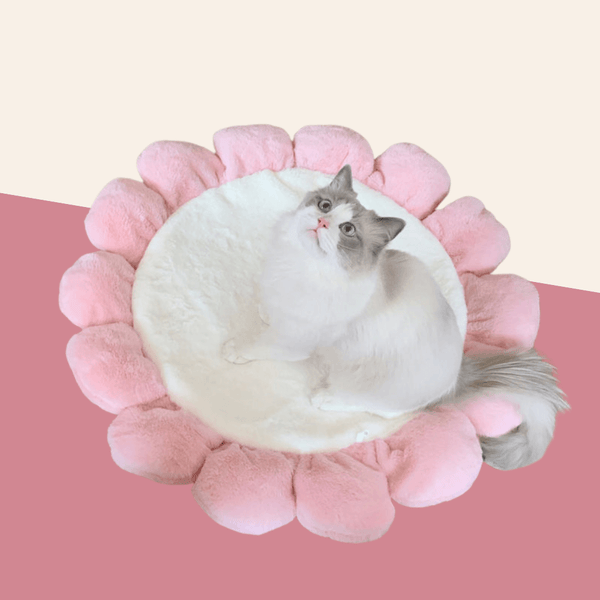 Pink Flower Cat Mat