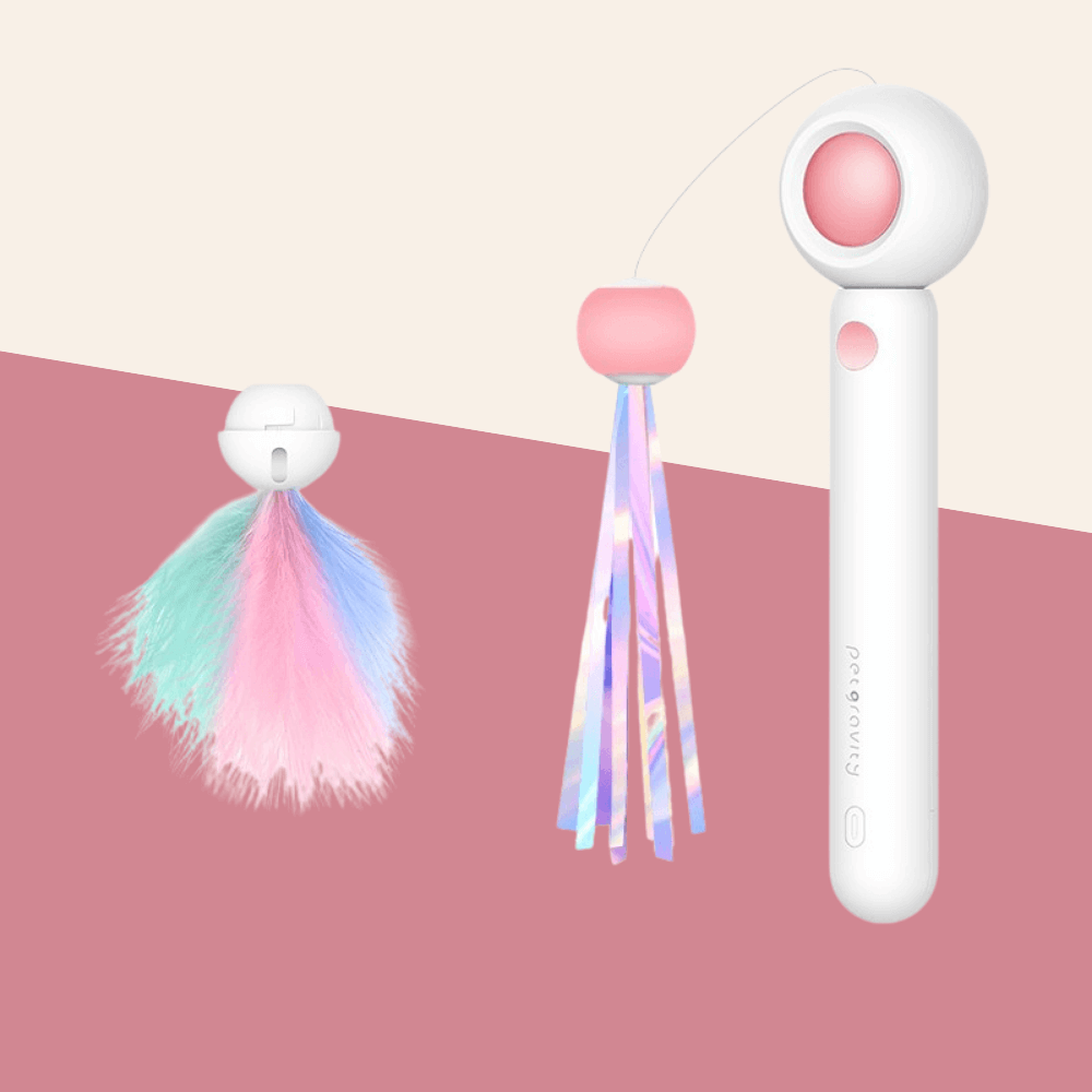 Retractable Cat Toy – fluffytempo