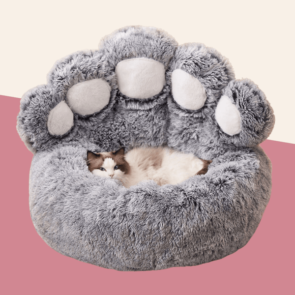 Soothing Paw Bed