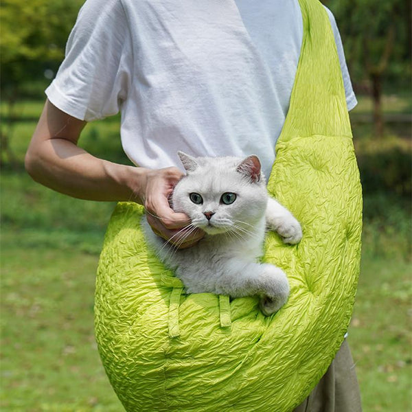 Fluorescent Green Cat Carrier