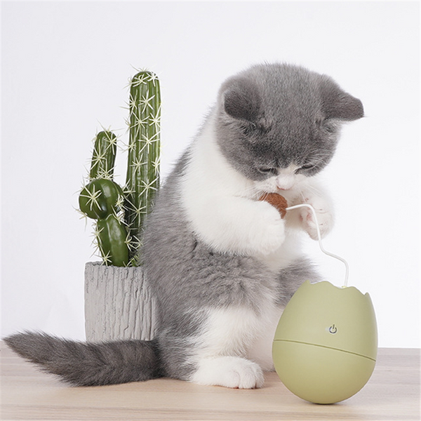 Eggshell Tumbler Cat Toy